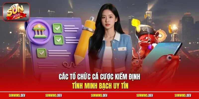 Các tổ chức cá cược kiểm định tính minh bạch uy tín